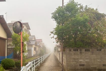 71歳にしてインフルエンザ初体験